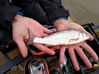 Клубный турнир по ловле донной удочкой «Расчехляйте, фидера»