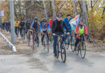 Спасти велосипедиста