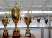 Первые результаты хоккейного турнира «Добрый лёд»