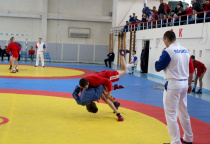 Чемпионат и первенство Амурской области по самбо