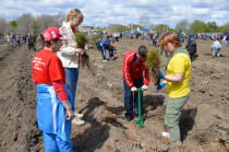 Сотрудники минспорта области присоединились к акции «Сад Памяти»
