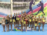 Первенство Амурской области по художественной гимнастике