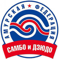 Воспитанник школы Олимпийского резерва Никита Титов стал победителем первенства ДФО по самбо