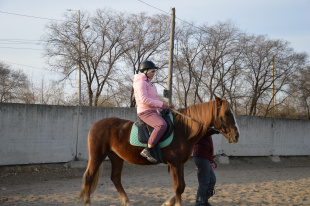 Всадники с ограниченными возможностями здоровья посоревновались в паралимпийской выездке