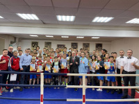 В областной столице определили сильнейших боксеров