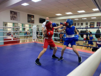 Открытое первенство по боксу прошло в школе олимпийского резерва