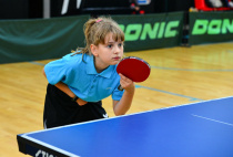 Первенство Амурской области по настольному теннису