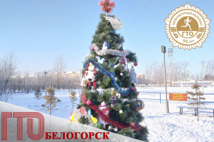 Ёлку ГТО вновь украсят творческие белогорцы
