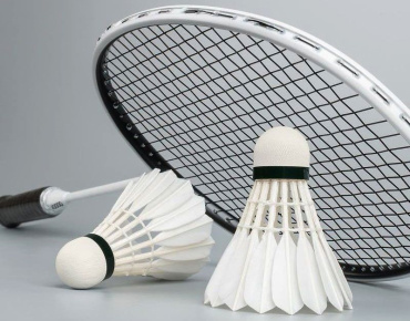 27 февраля-01 марта. Чемпионат и первенство Амурской области по бадминтону "Амурская ракетка-2026"