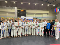 Почти три десятка наград везут в Приамурье каратисты