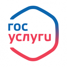 Подать документы на присвоение спортивного разряда, судейской категории или регистрацию спортивной федерации можно на портале Госуслуги
