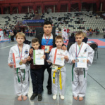 Амурские спортсмены впервые выступили на чемпионате и первенстве ДФО по тхэквондо ITF