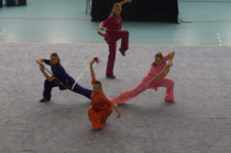 Чемпионат и первенство Дальневосточного федерального округа по ушу