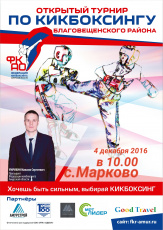 Открытый турнир по кикбоксингу