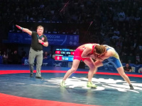 Есть такая профессия: спортивный судья