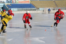 XX Спартакиада городов 2016/2017 гг. Хоккей с мячом